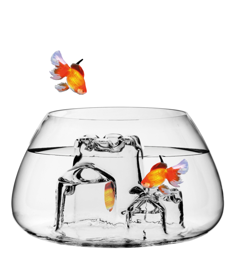 sabbia aquarium - glass